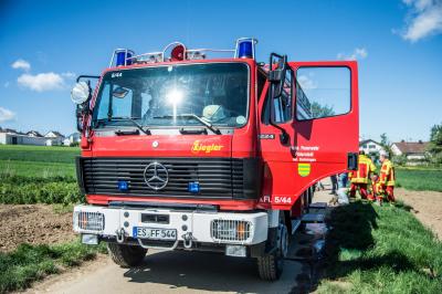 Filderstadt-Sielmingen: Jack Russel Terrier â€žAmigoâ€œ erfolgreich aus Kanalrohr gerettet